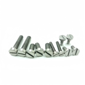 Titanium Slotted Cheese Head Screws-TB-SC-01