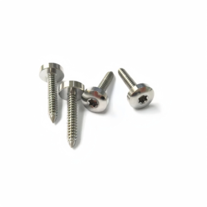 Titanium Torx Pan Head Self Tapping Screws-TB-PH-01-001