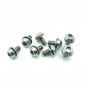 Titanium License Plate Screws-TB-HB-02