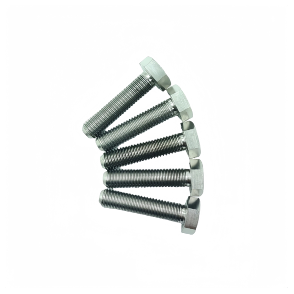 Titanium Hex Head Screws TB-HH-02-002