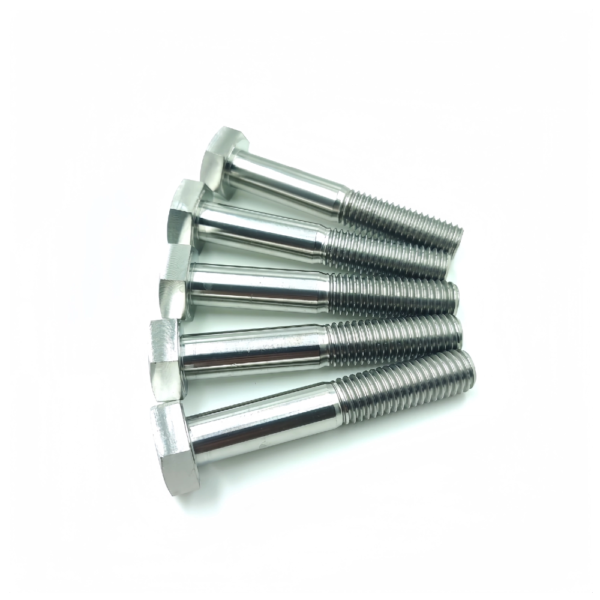 Titanium Hex Head Bolts TB-HH-01-003