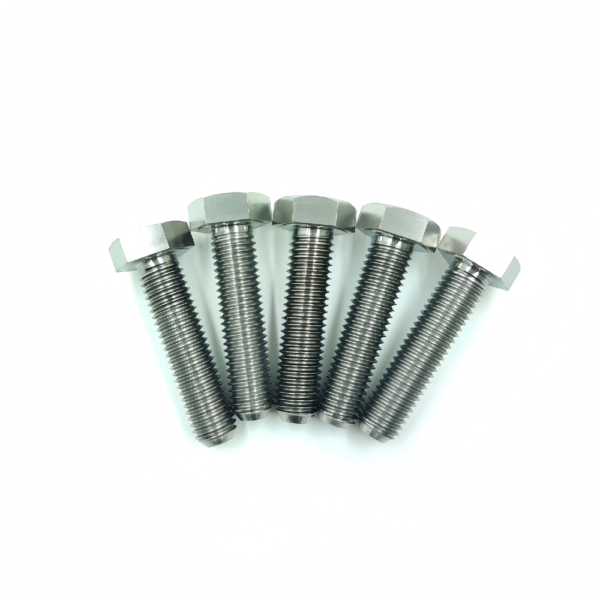 Titanium Hex Head Screws TB-HH-02-003