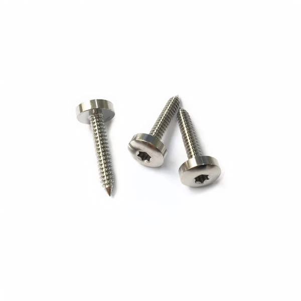 Titanium Torx Pan Head Self Tapping Screws-TB-PH-01-003