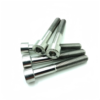 Titanium Allen Head Bolts-TB-SH-03-004