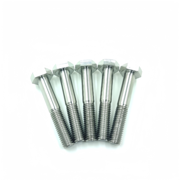 Titanium Hex Head Bolts TB-HH-01-004