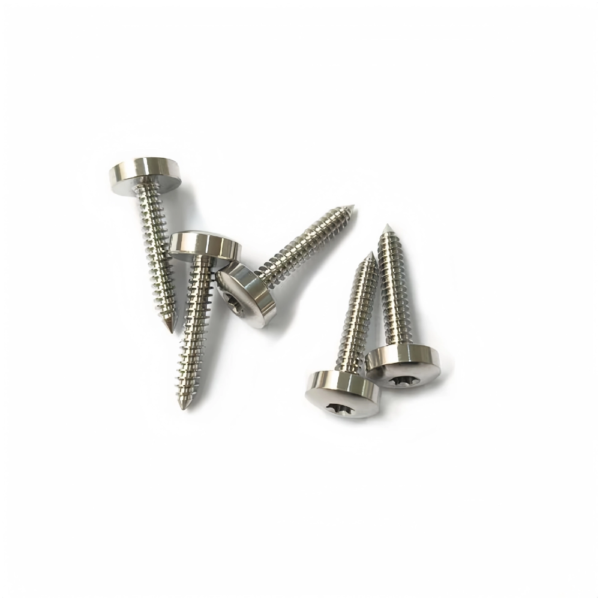 Titanium Torx Pan Head Self Tapping Screws-TB-PH-01-004