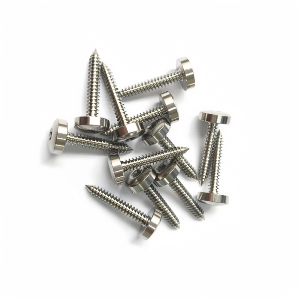 Titanium Torx Pan Head Self Tapping Screws-TB-PH-01-005